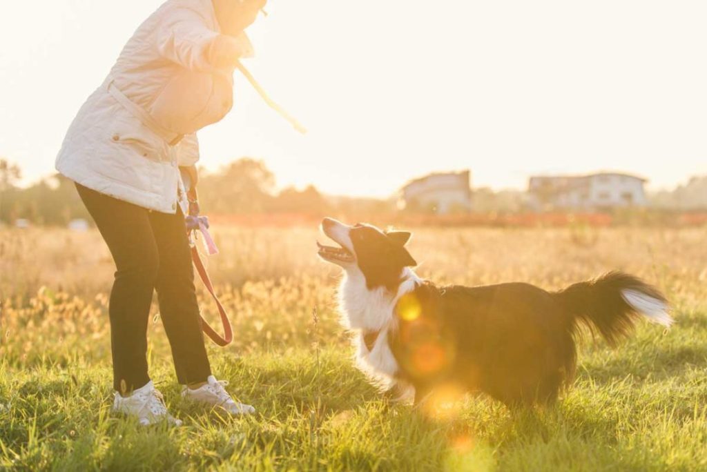 Mes proches âgés devraientils avoir un animal de