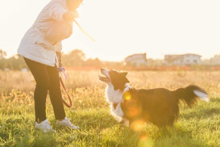 Mes proches âgés devraientils avoir un animal de