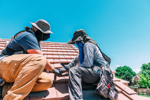choisir entre réparer ou remplacer votre toiture à Cayenne dépend de nombreux facteurs. Il est crucial de considérer